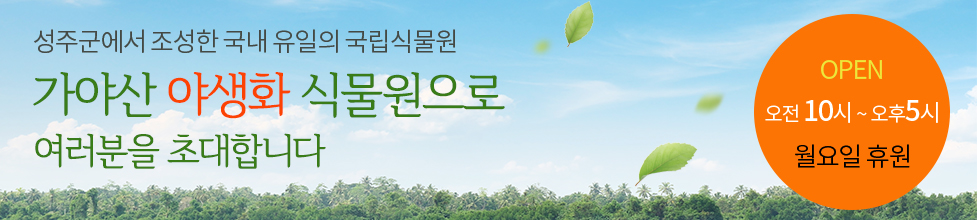성주군에서 조성한 국내 유일의 군립식물원, 가야산 야생화 식물원으로 여러분을 초대합니다. OPEN 오전 10시 ~ 오후 5시, 월요일 휴원