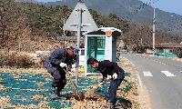 벽진면 관내, 교통안전시설물(안전표지, 도로반사경) 정비